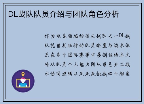 DL战队队员介绍与团队角色分析