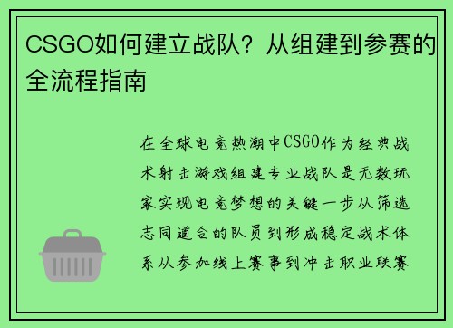CSGO如何建立战队？从组建到参赛的全流程指南